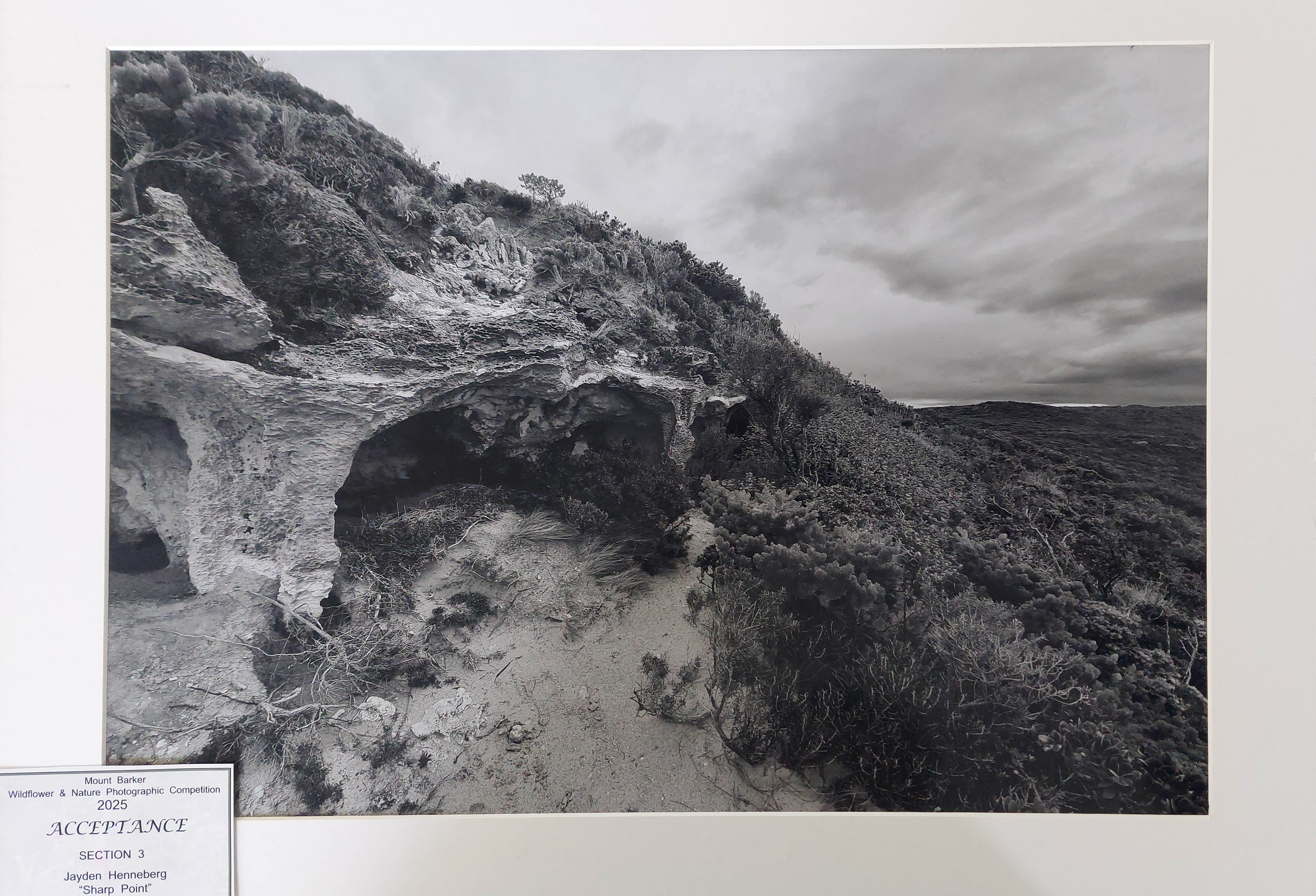 /uploaded_files/media/gallery/1762755556Jayden Sharp Point.jpg